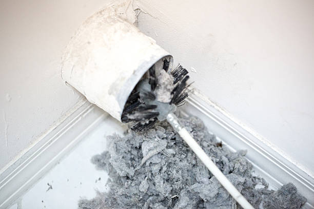 Best Air Duct Mold Removal  in Candler Mcafee, GA